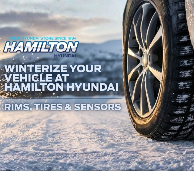 Hamilton Hyundai mobile (2)